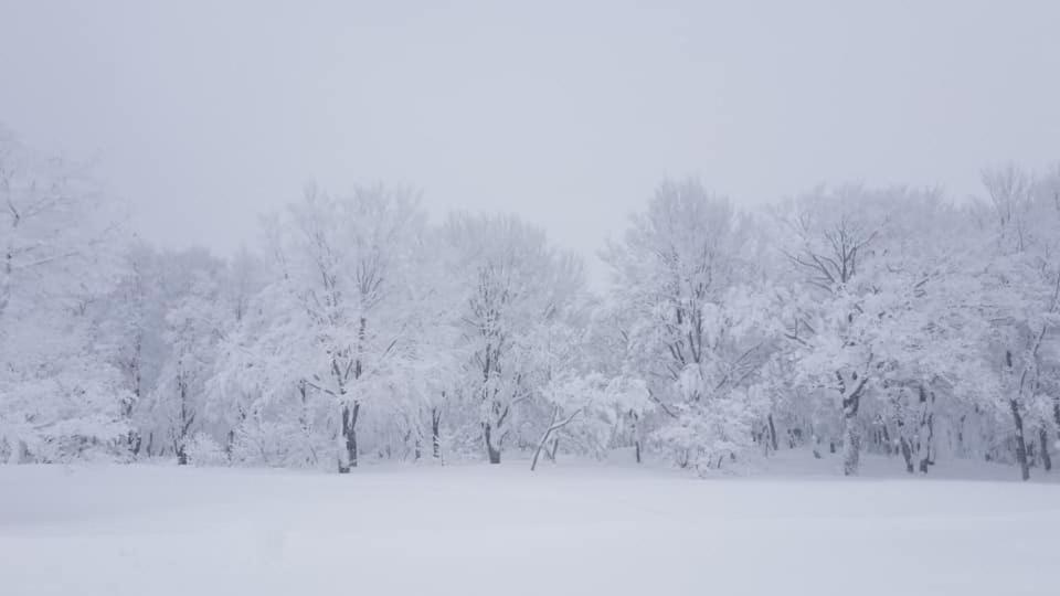 فندق Konayuki ميوكو المظهر الخارجي الصورة